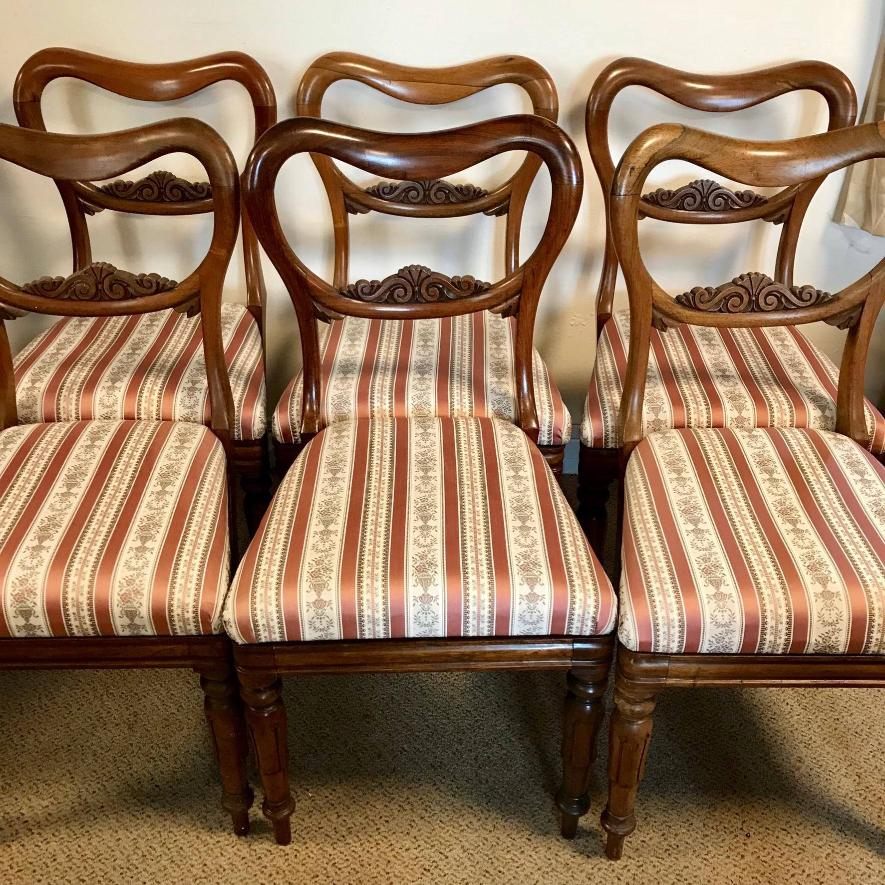 Set Of 6 William Iv Rosewood Dining Chairs Antique Dining Chairs