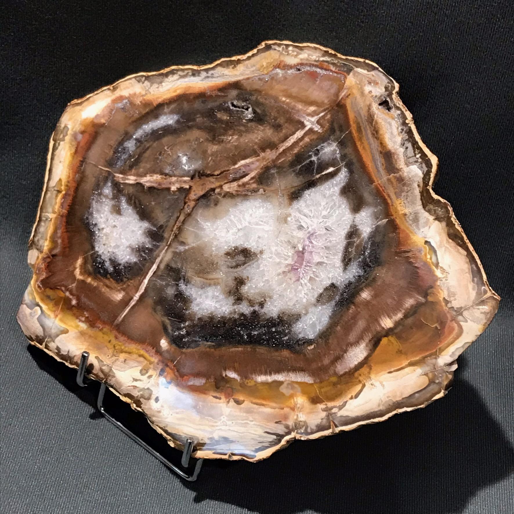 Stunning Crystalized Petrified Wood - Antiquities & Fossils - Hemswell