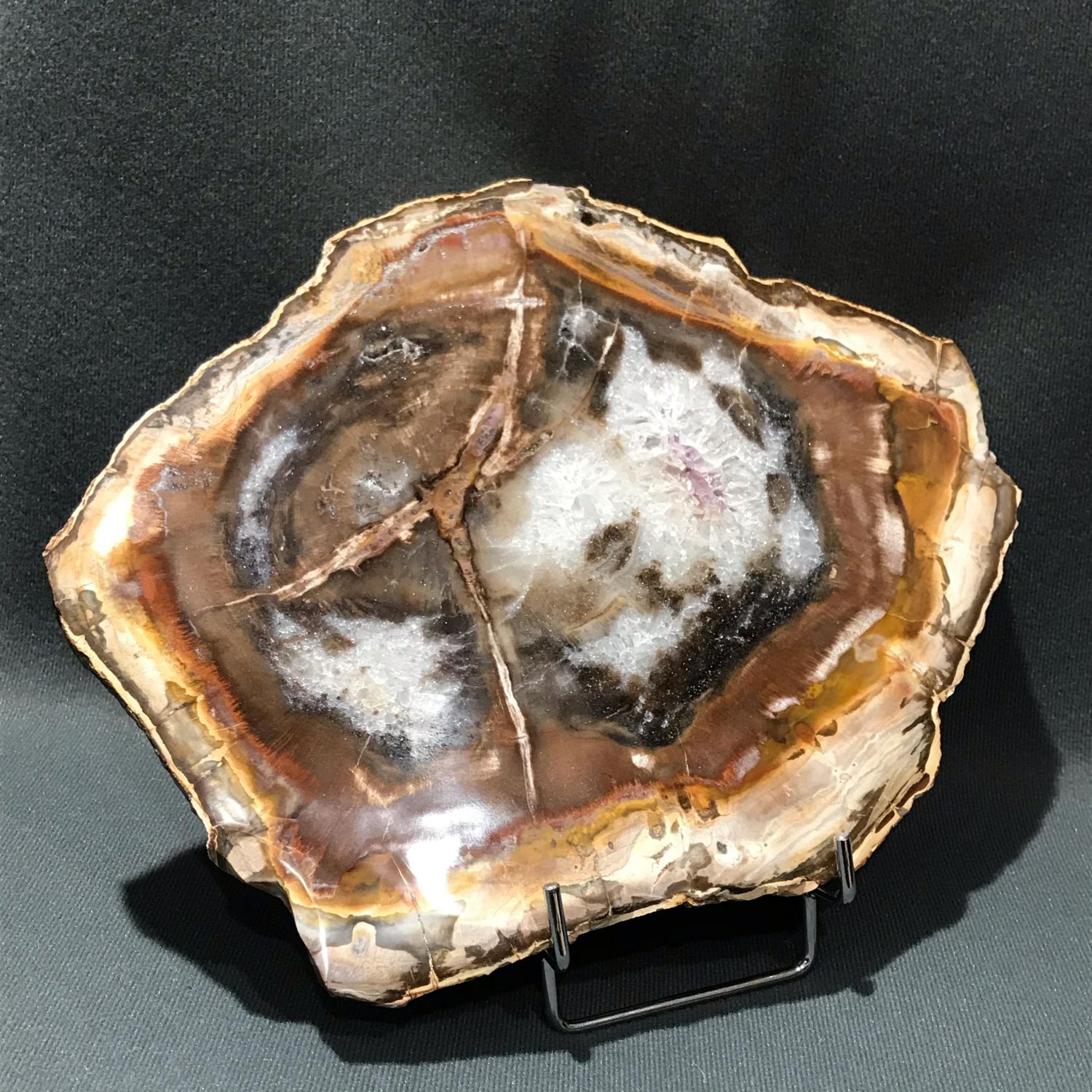 Stunning Crystalized Petrified Wood - Antiquities & Fossils - Hemswell