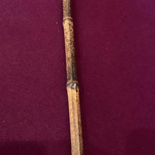 Bamboo Walking Cane - Other Collectables - Hemswell Antique Centres