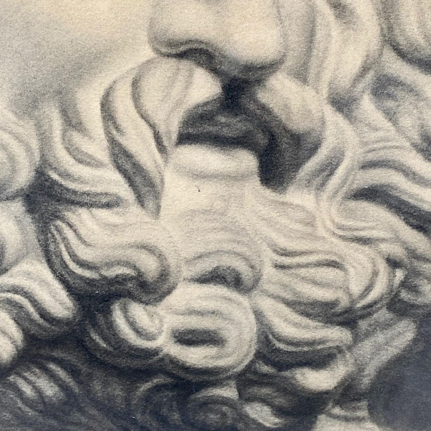 Original Charcoal Drawing of a Marble Bust - Paintings & Prints