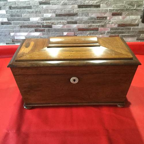 Early Victorian Rosewood and Mahogany Sarcophagus Tea Caddy image-1