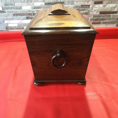 Early Victorian Rosewood and Mahogany Sarcophagus Tea Caddy image-2