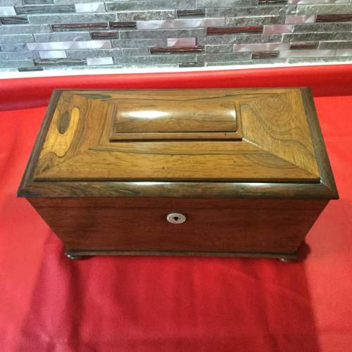 Early Victorian Rosewood and Mahogany Sarcophagus Tea Caddy image-3