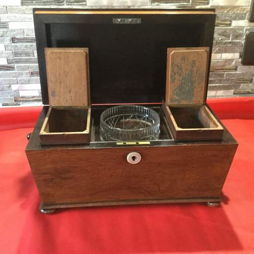 Early Victorian Rosewood and Mahogany Sarcophagus Tea Caddy image-5