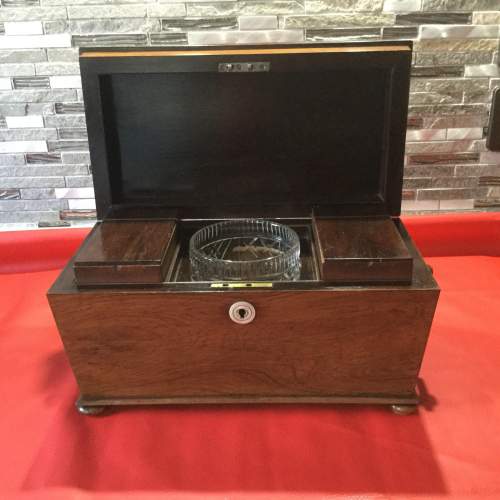 Early Victorian Rosewood and Mahogany Sarcophagus Tea Caddy image-6