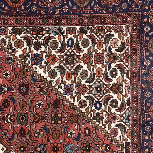 Hand Knotted Iran Bijar Wool Rug image-4