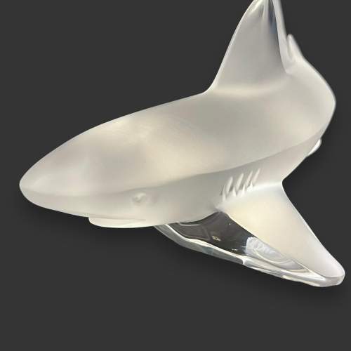 Lalique Frosted Glass Shark image-3