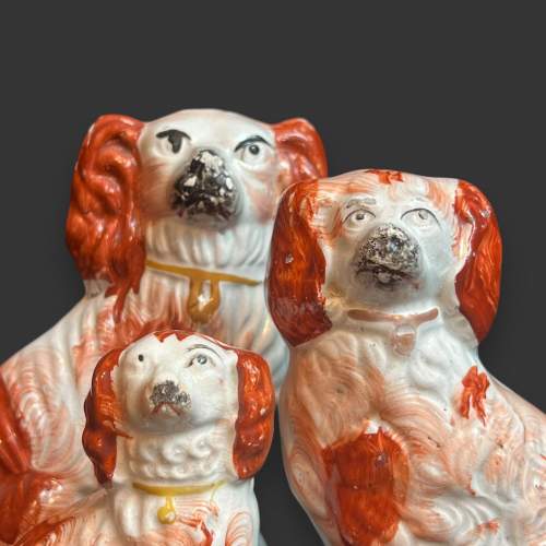 Three Staffordshire Dogs image-3