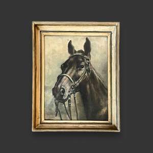 19th Century Oil on Board of a Heavy Hunter Horse
