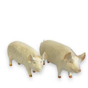 Beswick Champion Wall Boy and Wall Queen Pigs