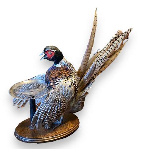 Anthropomorphic Taxidermy Pheasant in the form of a Waiter image-1