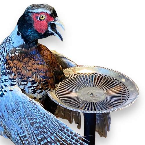 Anthropomorphic Taxidermy Pheasant in the form of a Waiter image-3