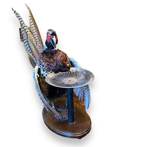 Anthropomorphic Taxidermy Pheasant in the form of a Waiter image-4