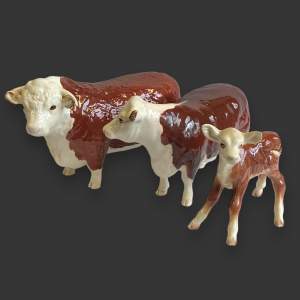 Beswick Cattle Family - Hereford Breed