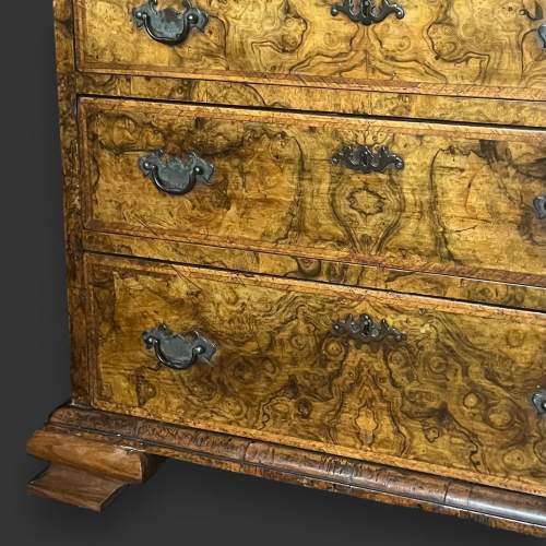 Edwardian Small Size Burr Walnut Bureau Bookcase image-6