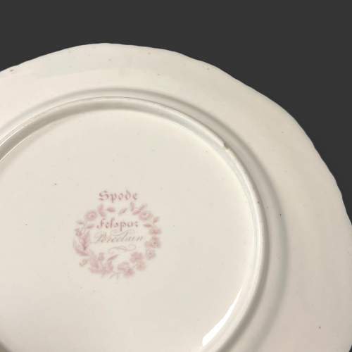 19th Century Spode Plate image-4