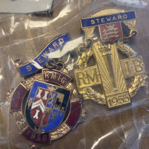 Collection of 49 Masonic Charity Jewels image-4