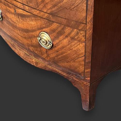 George III Converted Mahogany Bowfront Cupboard image-6