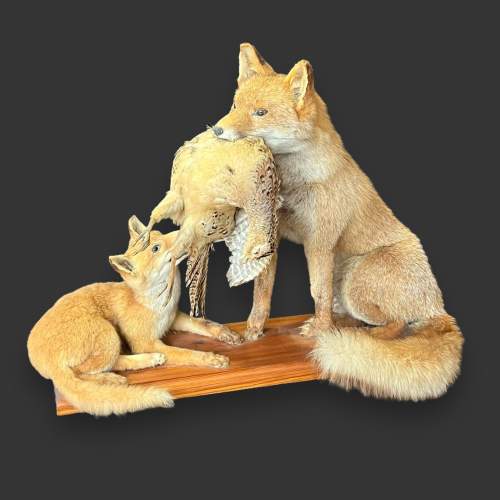 Taxidermy Fox and Cub Holding a Bird image-1