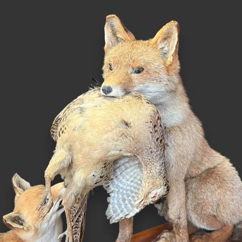 Taxidermy Fox and Cub Holding a Bird image-2