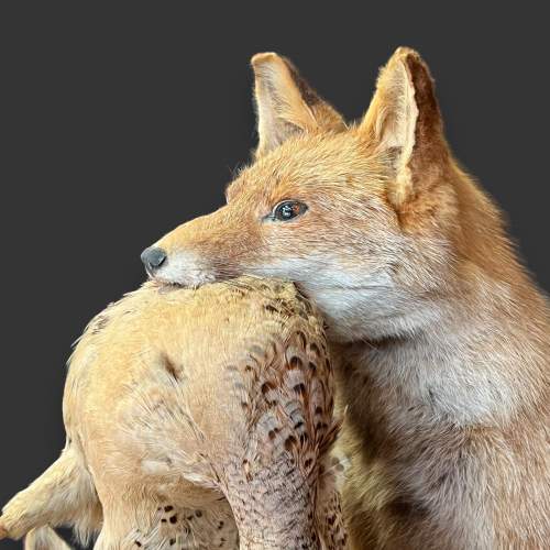 Taxidermy Fox and Cub Holding a Bird image-4