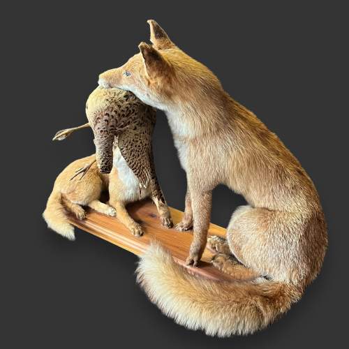 Taxidermy Fox and Cub Holding a Bird image-5