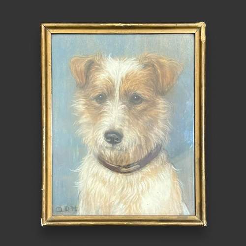 Early 20th Century Framed Pastel of a Jack Russell image-1