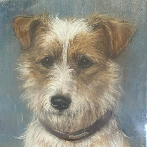 Early 20th Century Framed Pastel of a Jack Russell image-2