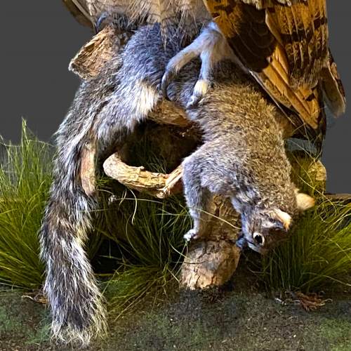 Bengal Eagle Owl clasping a Grey Squirrel Taxidermy image-4