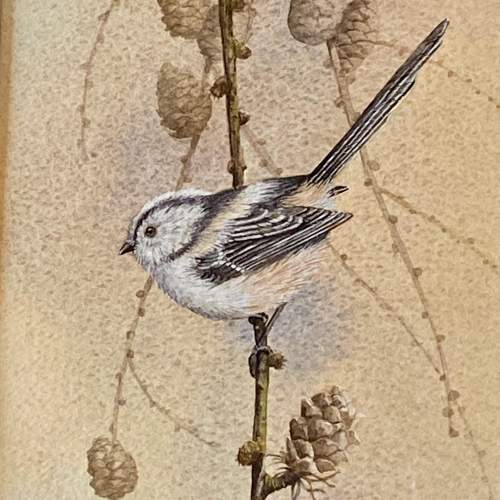 Jennifer A Bell Watercolour of a Longtail Tit image-2