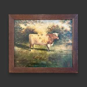 English School Oil on Board of a Hereford Bull