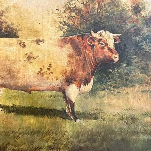 English School Oil on Board of a Hereford Bull image-2