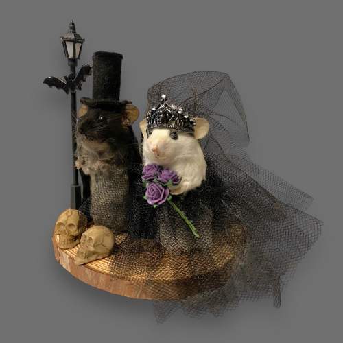 Taxidermy Undertaker Bride and Groom Mice image-1