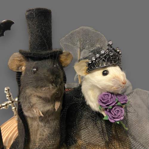 Taxidermy Undertaker Bride and Groom Mice image-2