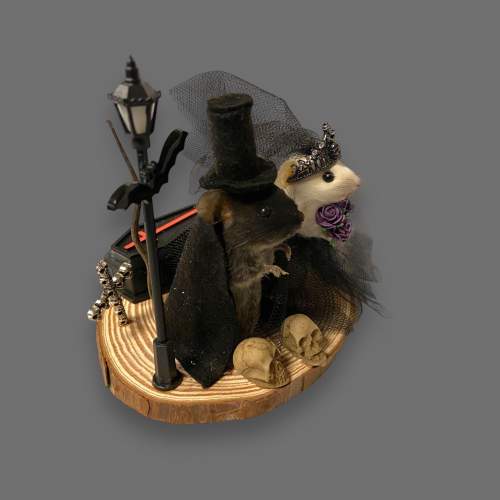 Taxidermy Undertaker Bride and Groom Mice image-6