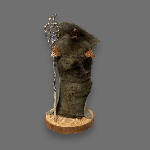 Taxidermy Wizard Mole image-1