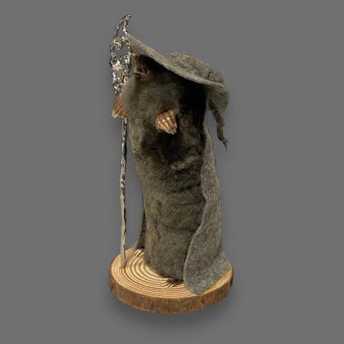 Taxidermy Wizard Mole image-4