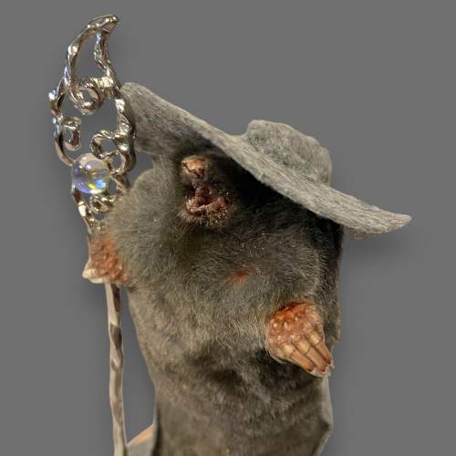 Taxidermy Wizard Mole image-2