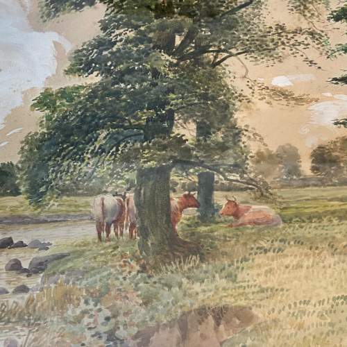 Watercolour Cattle At River Edge by S.Morris image-2