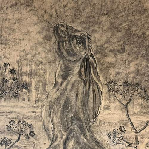 Original Charcoal Drawing of a Hare image-2