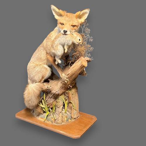 Large Taxidermy Fox with Young Rabbit in Mouth image-1