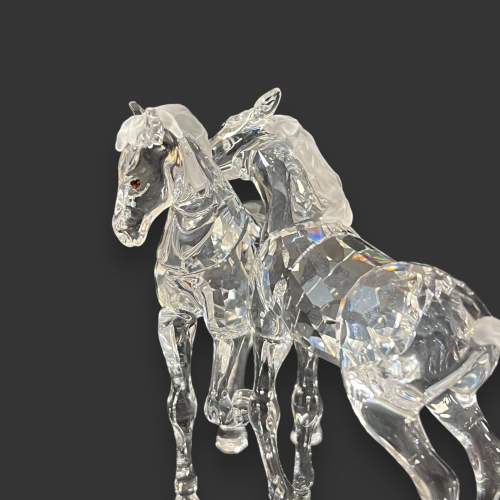 Swarovski Crystal Pair of Foals image-3