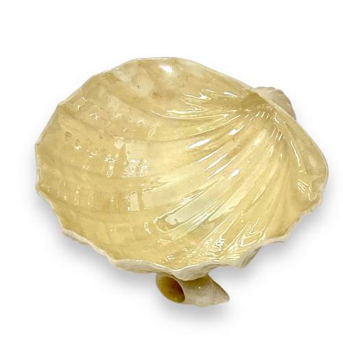 Belleek Shell Porcelain Salt image-1